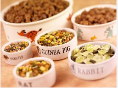 How to choose the right pet food