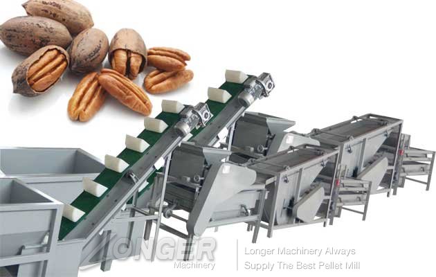 automatic peacans cracking and shelling machine with low price