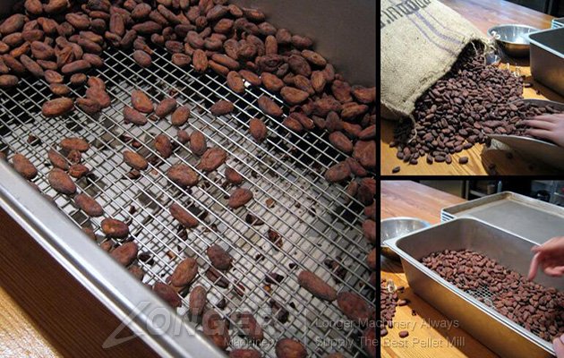 cocoa beans roaster