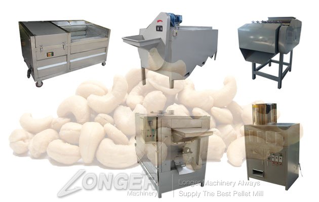 cashew nut processing machine plant
