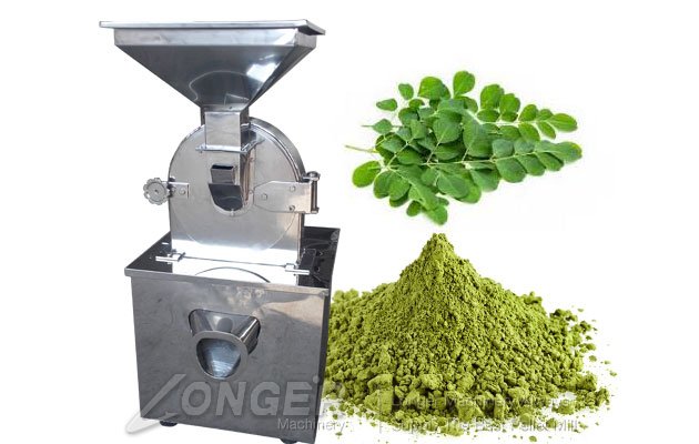 how to make moringa seed powder