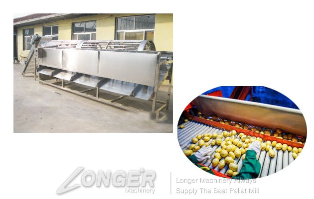 <b>Potato|Onion|Vegetable Sorting Grading Machine</b>