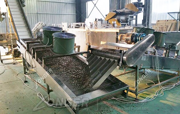 Sunflower Seed Roasting Machine