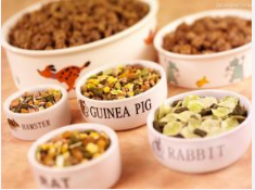 How to choose the right pet food How to choose the right pet food