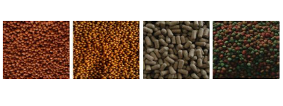 Composition of fish feed formula Composition of fish feed formula