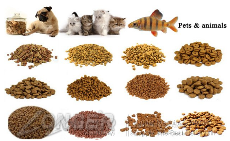 Don't Feed Dog Food to a Cat 