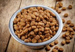 Selection criteria of cats food