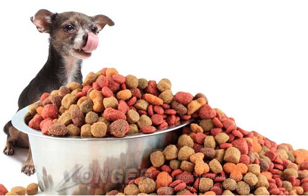 pet food,dog food