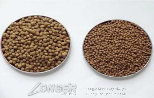 fish feed fish feed
