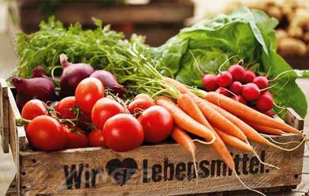 organic food organic food