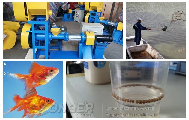 automatic fish feed pellet extractor machine manufacturer