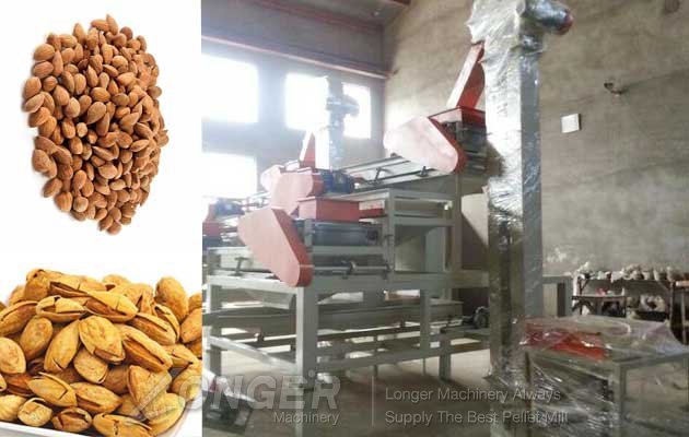 almond craking and shelling machine sold to india