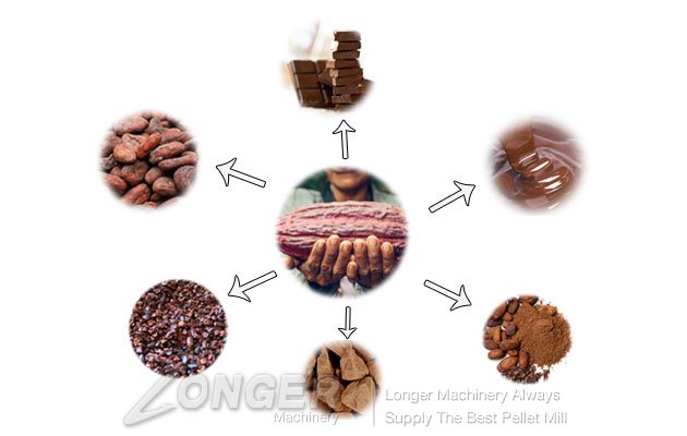 autoamtic cocoa bean processing plant