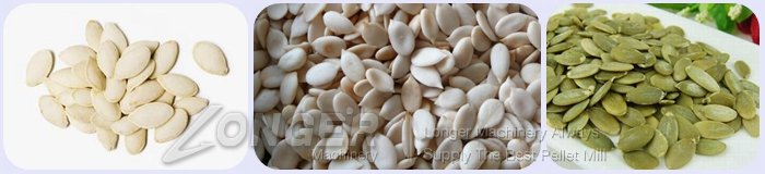 automatic melon peeling machine with best price manufacturer