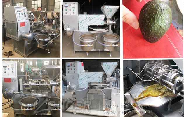 automatic avacado oil extarction machine for sale