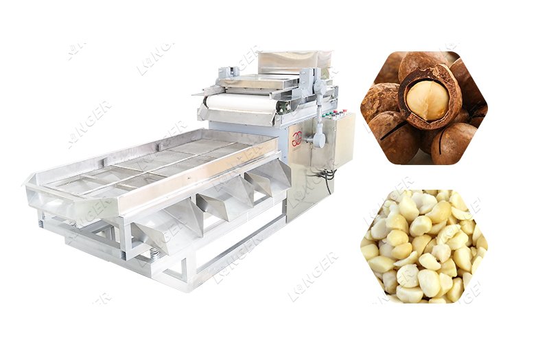 Electric Nut Chopper