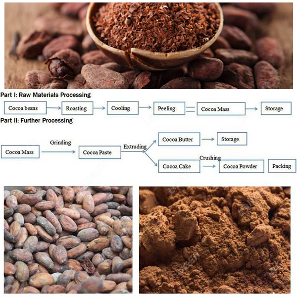 Cocoa Powder Production Process