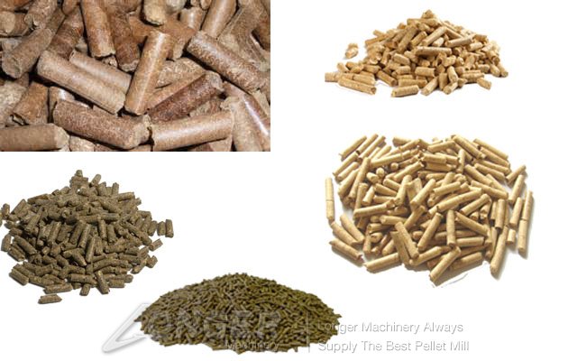 Capacity 5t/h Animal Food Pellet Mill| Poultry Feed Pellet