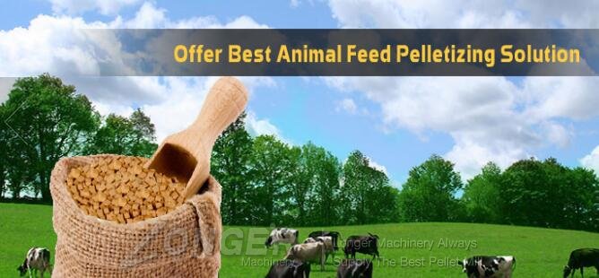 animal feed pellet machine