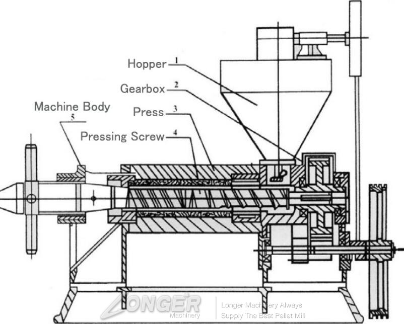 screw oil press