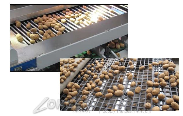 potato sorting machine