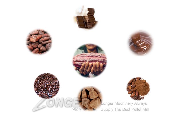 Cocoa Bean Processing Line|Coco Bean Plant