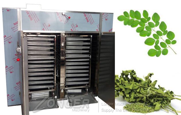 Moringa Leaf Drying Machine