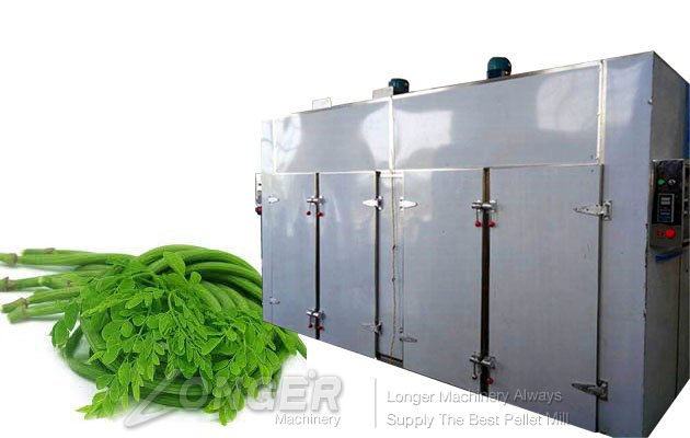 Moringa Leaf Drying Machine
