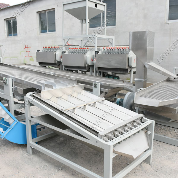 cashew nut processing solution