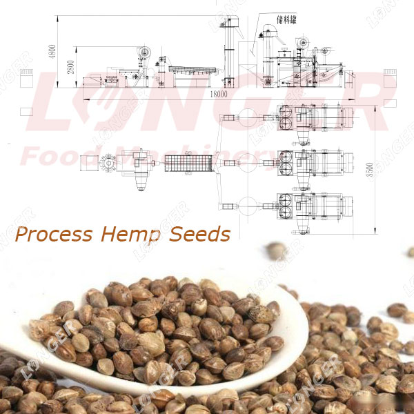 machines to processing hemp seeds