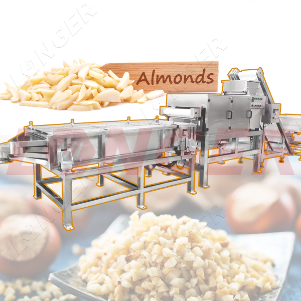machine to chopping nuts