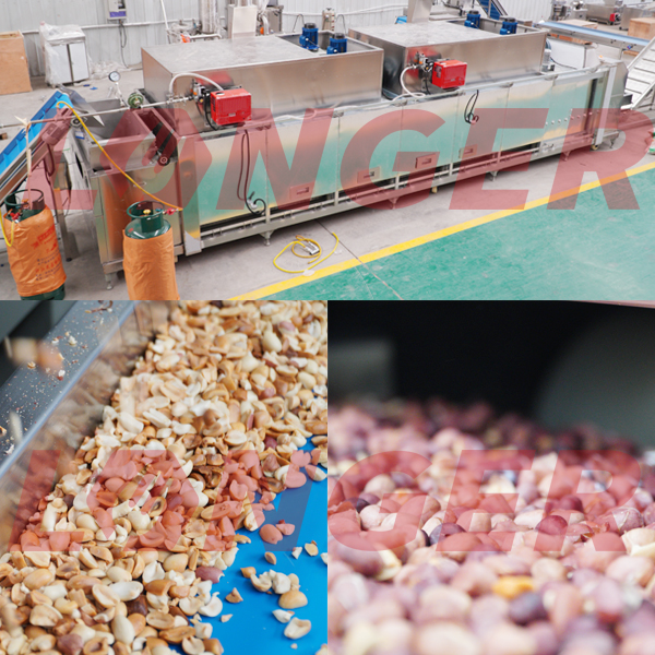 malaysia nut processing machine manufacturer